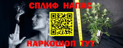 мяу мяу мука Северобайкальск